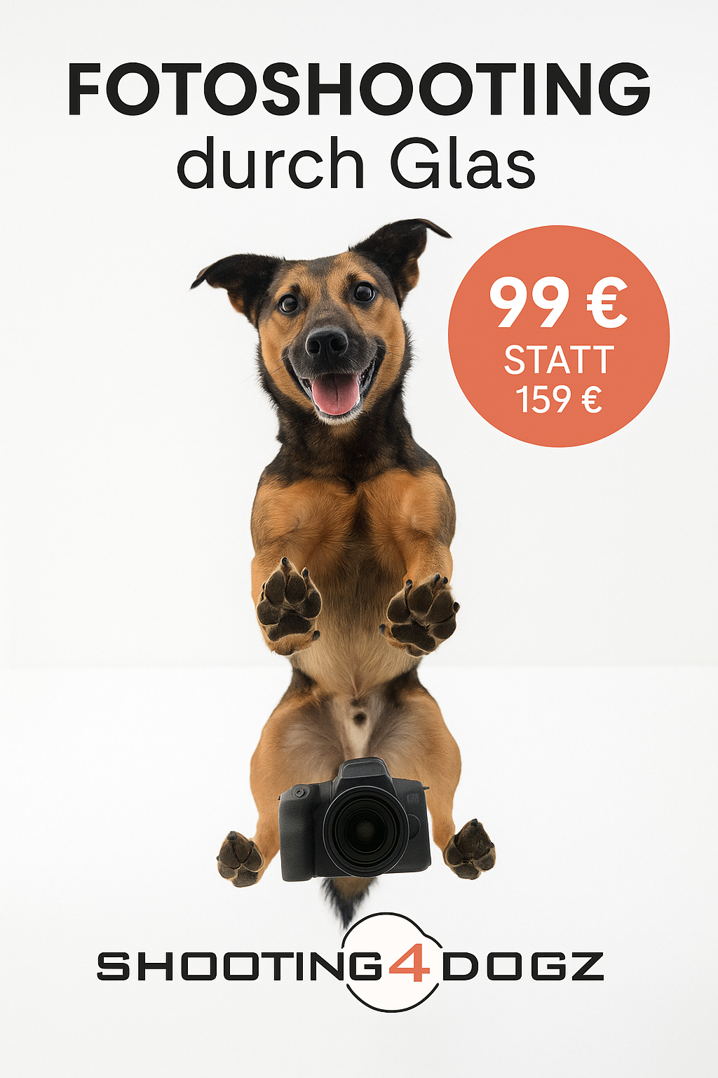 Hundefotoshooting Glasplatte – Bild 5
