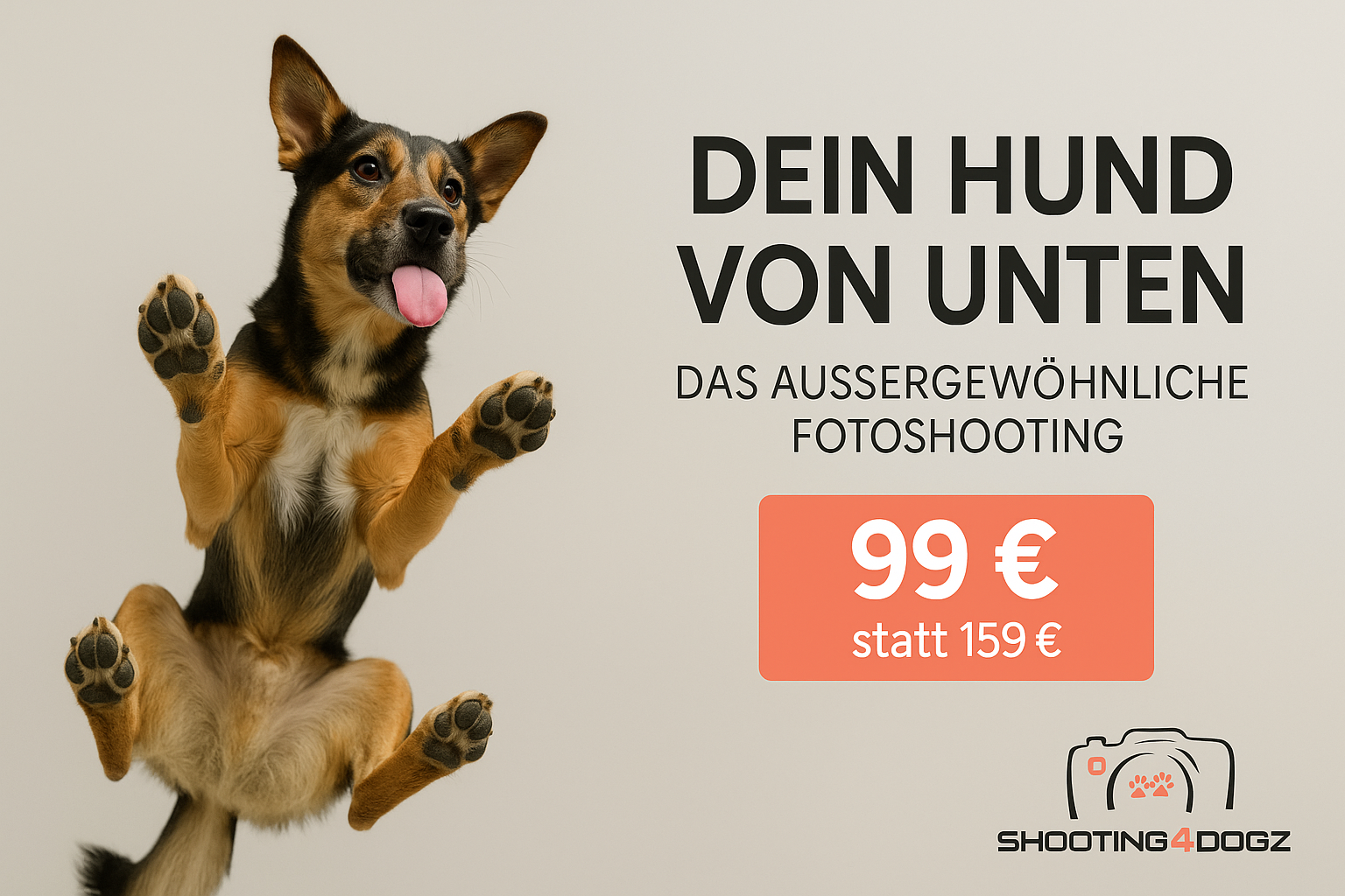 Hundefotoshooting Glasplatte – Bild 3