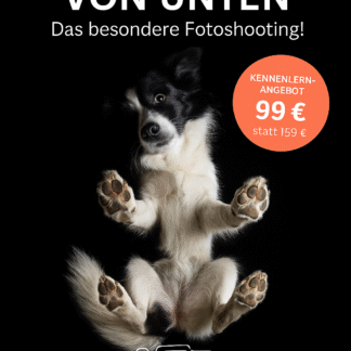 Hundefotoshooting Glasplatte